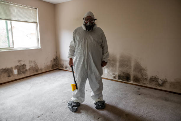 Best Industrial Mold Remediation  in Wren, AR