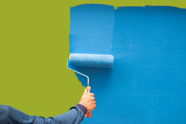 Best Black Mold Removal  in Wren, AR